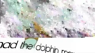 intro for hamad the dolphin man