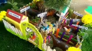 Farm Animals project