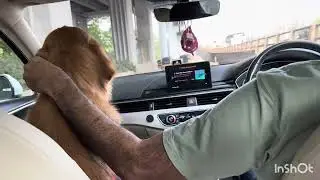 Joey first  drive in Audi car