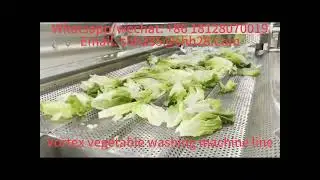 Commercial vortex  vegetable washing machine vegetable cleaning machine food machinery