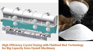 Industrial Salt Drying | 20 Ton/Hour Fluidized Bed Dryer in Action