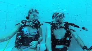 Nemo 33