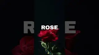R&B Type Beat - 