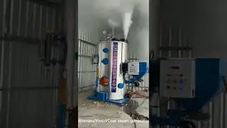 Biomass/Wood/Coal steam generator