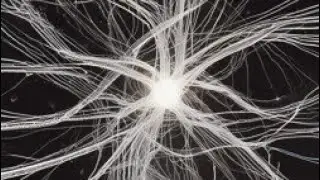 ❎ hypergraph in semantic field ✅ progressive matrix rmx 🎬