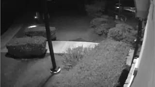 Surveillance Video  - Part 2: Leander PD issues video of possible suspects involved in shooting of o