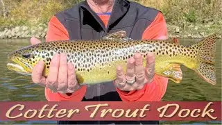 November 12, 2025 Arkansas Trout Fishing Report