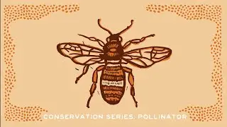Conservation Series: Pollinator