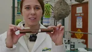 RESCUE! Spider Traps - Safer to Use Around Pets