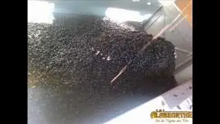 Egrappoir Oscillys BUCHER VASLIN