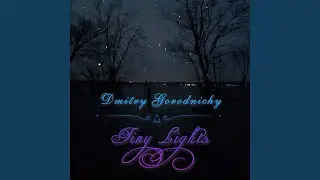 Tiny Lights