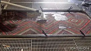 The Secret of Removing the Urine Odor From On Oriental rug | By The PetPeePee company