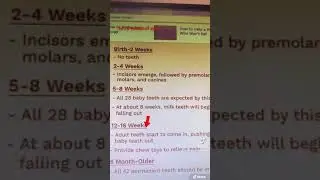 Learn about your dog&rsquo;s teeth!