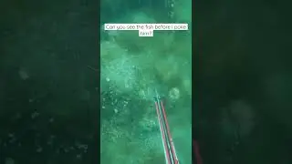 Fishing flatfish with spear #fishing