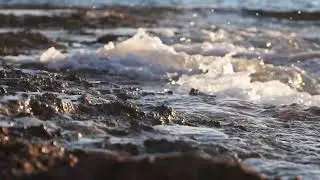 Sea waves spray on rocky shore, close up | Free stock footage