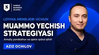 Muammoni yechish strategiyasi