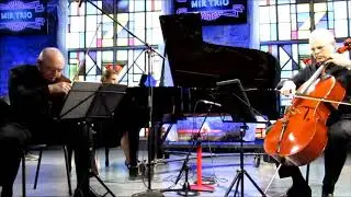 MIR Trio Live at the Zoomerplex