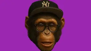 monkey.exe