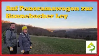 Auf Panoramawegen zur Hannebacher Ley | Natur Aktiv Erleben [2,7K]