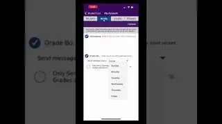 Update Notifications