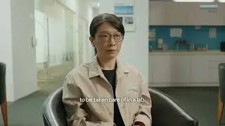 YouYou short: Contributing to safety. Mitigating risks through testing.