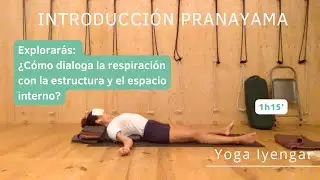Introducción al pranayama. Aprende a observar la respiración. Yoga Iyengar nivel intermedio