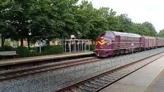 14 Juli 2024. DSB MY 1135 med gammelt banemateriel i fuld fart p&aring; Hadsten Station.