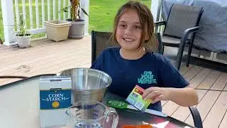 Girl Scout Brownie Badge Home Scientist Requirement 5 - Play With Science