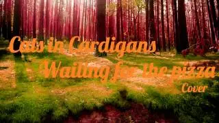 Cats in Cardigans - Waiting for the pizza (Guitar Cover)