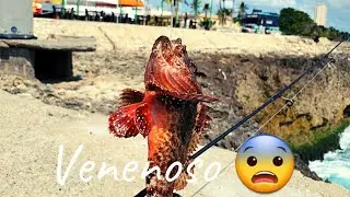 Pescando en el Caribe Desde la Orilla Santo Domingo Rep&uacute;blica Dominicana ( pesca rd ) 2022