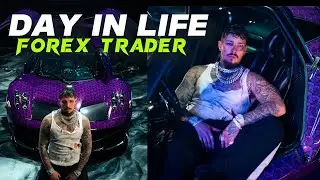 FOREX LIFE OF MAMBA FX, LAMBORAUL, ALEX G