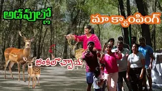 Camping in the Wild with Friends and Deer | Ray Roberts lake Day 2