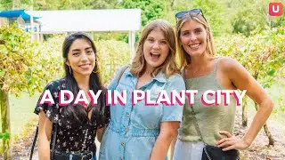 How To Spend A Day In Plant City | Tampa Bay Neighborhood Guide