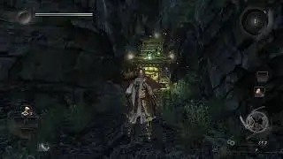 Zerando nioh