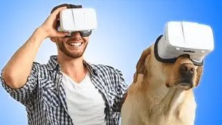 10 AWESOME INVENTIONS FOR YOUR PET