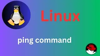 25/50 Basic Linux Commands | ping  command Explained #shortsvideo #linux  #linux_tutorial