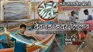 देवगडच्या लिलावात भले मोठे मासे 🦈 | ताजे फणफणीत बांगडे आणि सुरमई ची मोठी ताजी खुटा स्वस्त दरात 