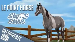 ACHAT DU PAINT HORSE | Star Stable - SSO