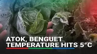 Temperatura sa Atok, Benguet bumagsak sa 5&deg;C, mga pananim at sasakyan nabalot sa yelo | ABS-CBN News