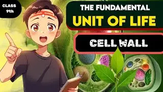 Cell Wall Explained | Primary Wall, Secondary Wall & Middle Lamella | Class 9 Biology