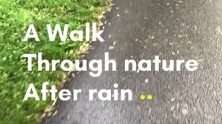 TUTTLINGEN, GERMANY 🇩🇪 WALK Tour 4K ll 2022