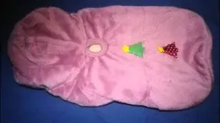 Yorkshire terrier clothes