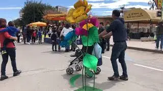 Tortol&igrave; in Fiore 2019 - Ogliastra (Sardegna)
