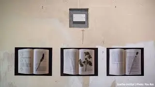 Dreaming Quantum Futures