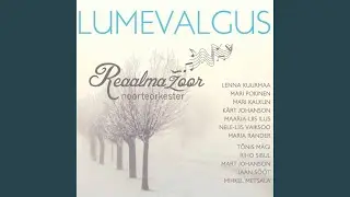 Kesk võõraid välju