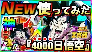 神キャラ発見！！『所持率0.01%未満』超極限4000日悟空使ったら周年レベルの最高キャラじゃねーか！！【ドッカンバトル】【地球育ちのげるし】