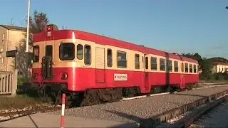 Freccia della Versilia e in cabina ALn 668 Paperella 121