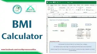 BMI Calculator in Excel