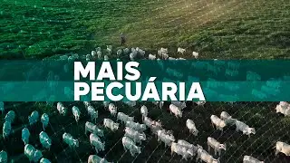 Mais Pecuária | 04/02/2026