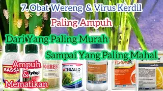 7 Obat Hama Wereng & Virus Kerdil Paling Ampuh Untuk Padi,!Dari Yang Murah Sampai Yang Paling Mahal.